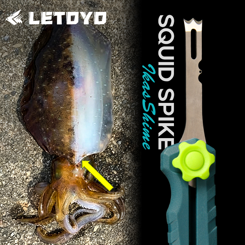 Squid Knife Stainless Steel Li - Saltwater Line review and price