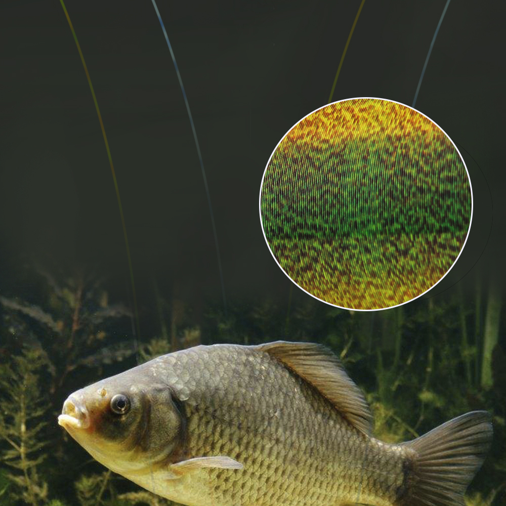 FTK 300M Invisible Fishing Lin - Fluorocarbon Line review and price